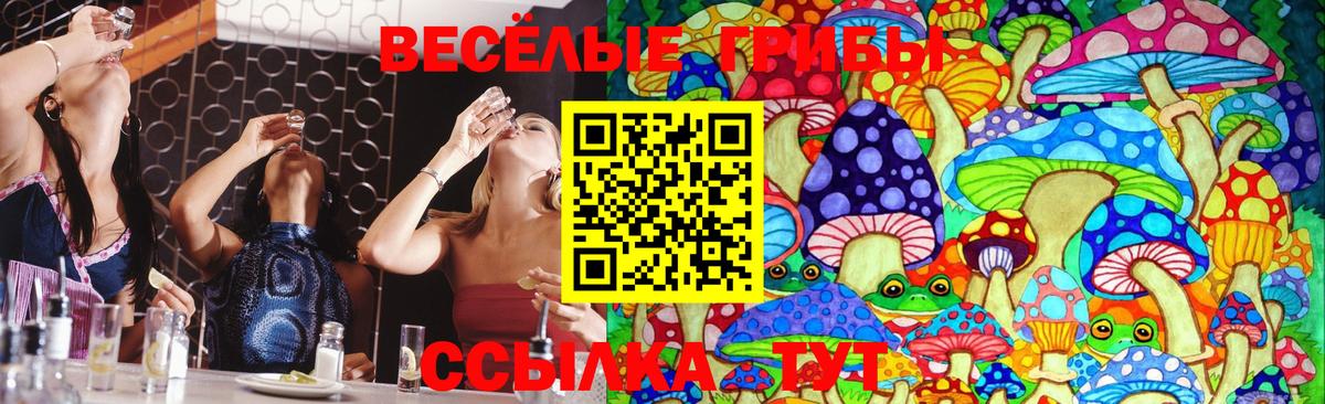 Псилоцибиновые грибы мухоморы Великий Новгород