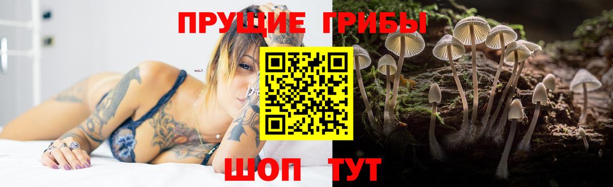 Галлюциногенные грибы прущие грибы  Вход с VPN  Великий Новгород 